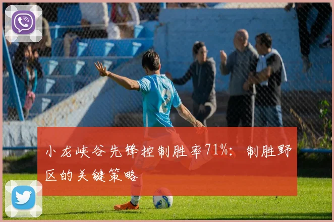 小龙峡谷先锋控制胜率71%：制胜野区的关键策略
