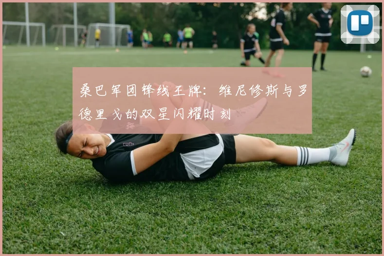 桑巴军团锋线王牌：维尼修斯与罗德里戈的双星闪耀时刻